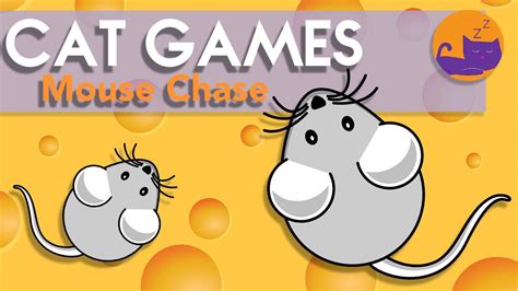 cat and mouse game